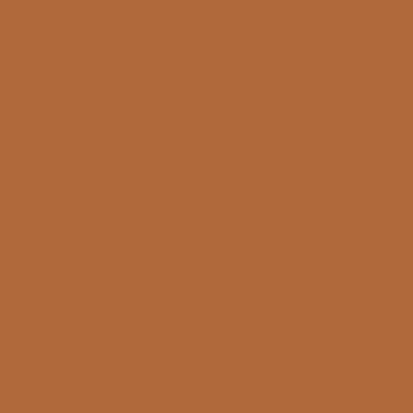 WF Copper Penny